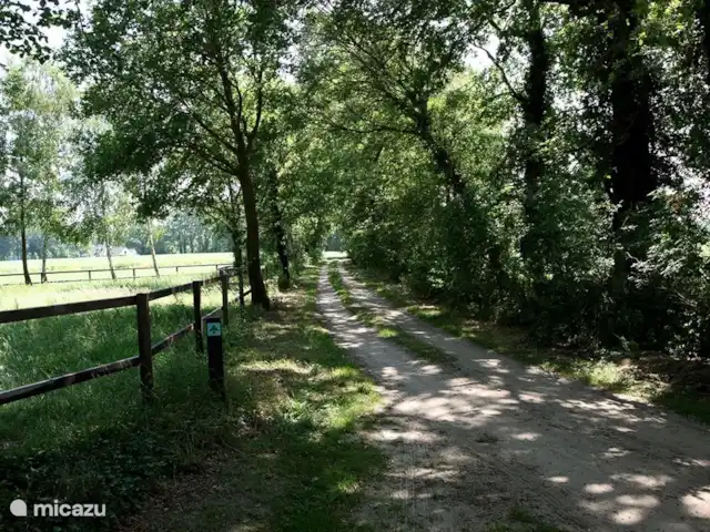 Location de Vacances Pays-Bas, Gueldre, Aalten, maison de vacances - Petite maison Paske Le chemin de terre sur lequel se trouve la maison