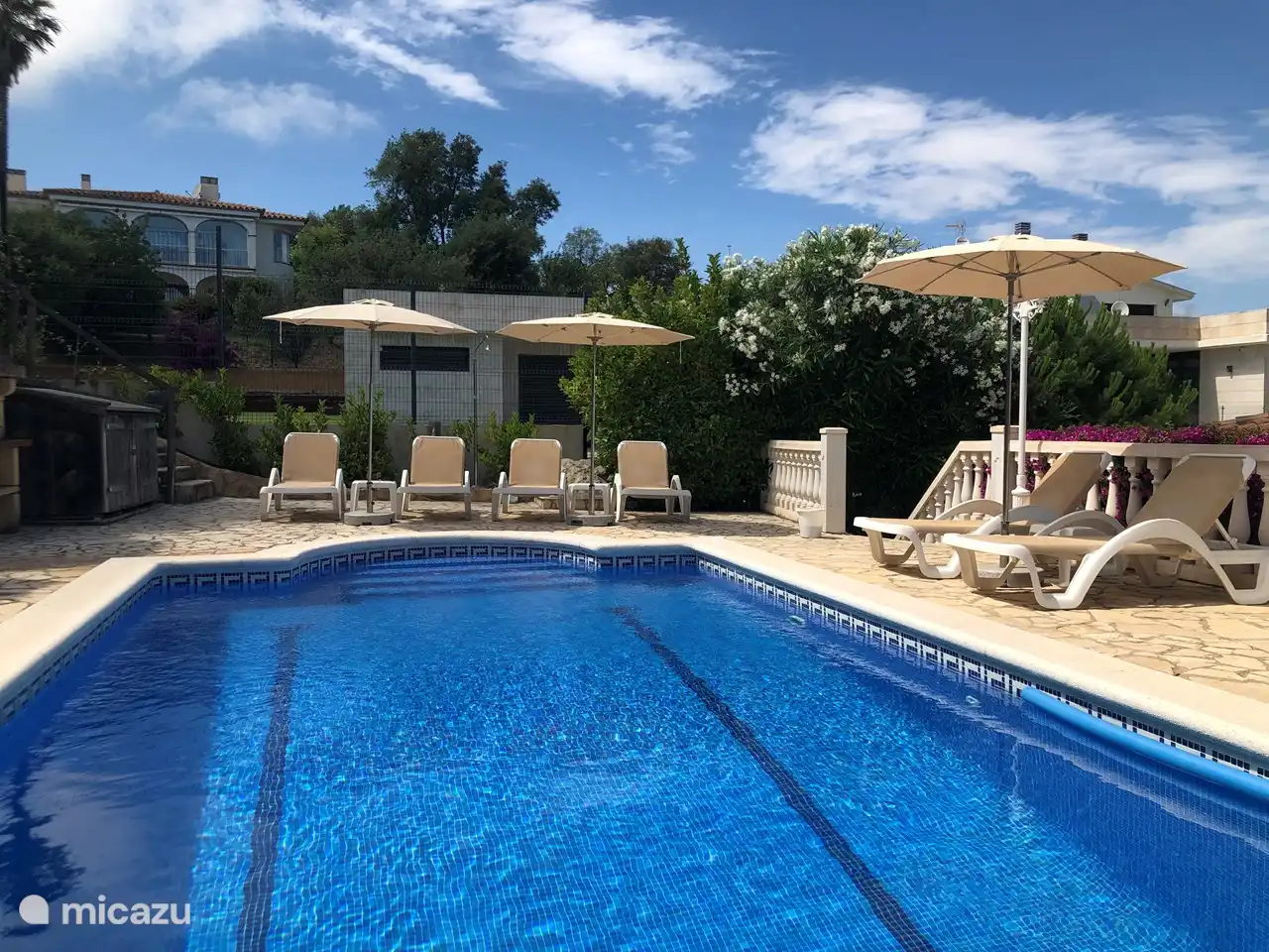 Piscine spacieuse avec vue de dessus, profitez