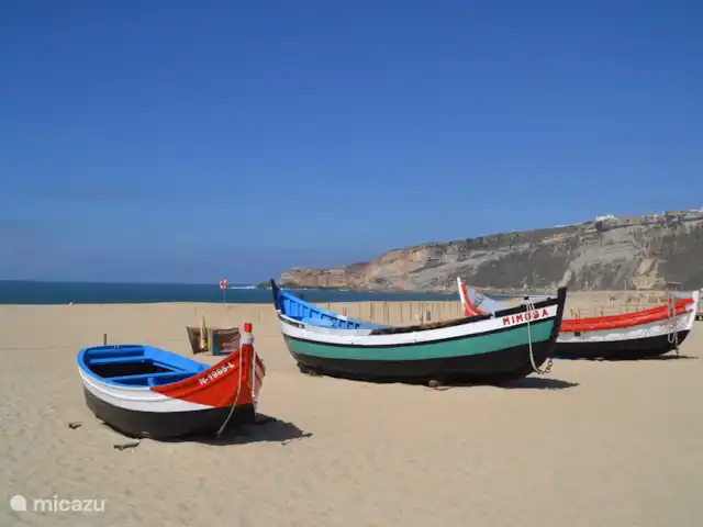 Casa Cerejas | Portugal, Costa de Prata, São Martinho do Porto - villa la plage de Nazaré