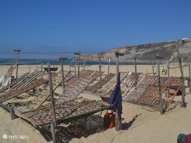 Casa Cerejas | Portugal, Costa de Prata, São Martinho do Porto - villa la plage de Nazaré