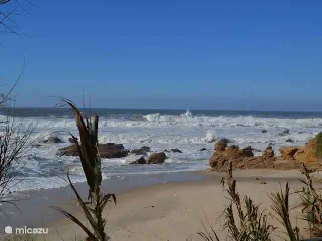 Casa Cerejas | Portugal, Costa de Prata, São Martinho do Porto - villa Plage et mer