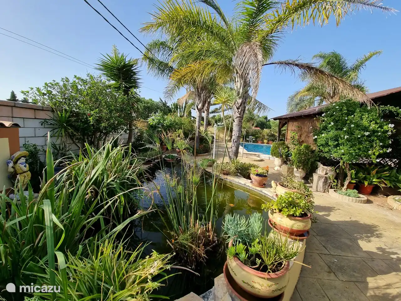 Blick auf den Teich und den Garten.
