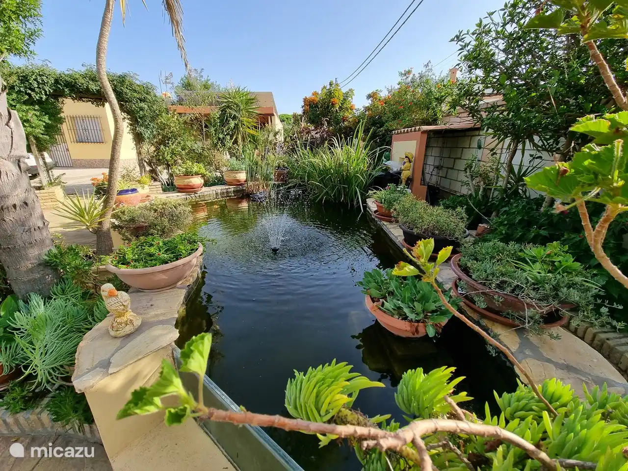 Unser Teich mitten im Garten.