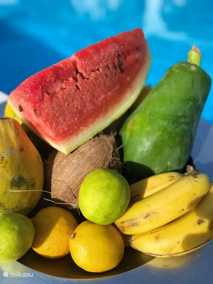 Deliciosa fruta tropical disponible en Curazao