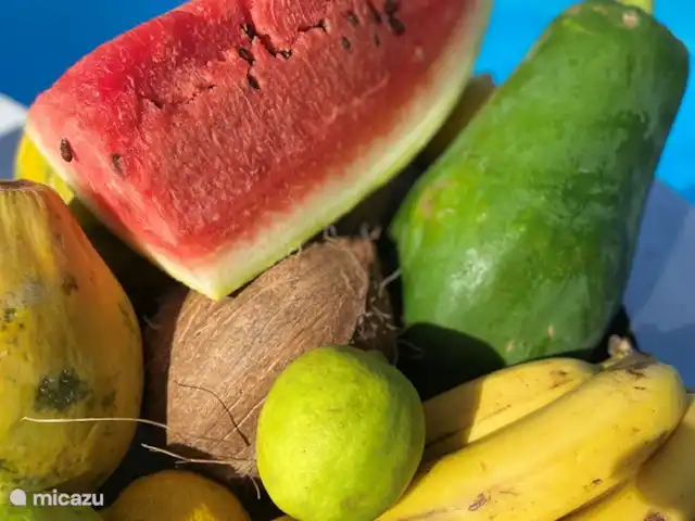 Villa Panseiku avec piscine privée | Curaçao, Banda Ariba (est), Jan Thiel - villa Délicieux fruits tropicaux disponibles à Curaçao