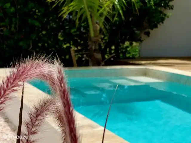Location de Vacances Curaçao, Banda Ariba (est), Jan Thiel, villa - Villa de vacances Curaçao, Jan Thiel piscine