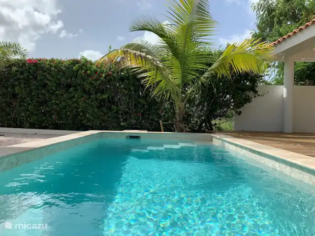 Location de Vacances Curaçao, Banda Ariba (est), Jan Thiel, villa - Villa de vacances Curaçao, Jan Thiel piscine