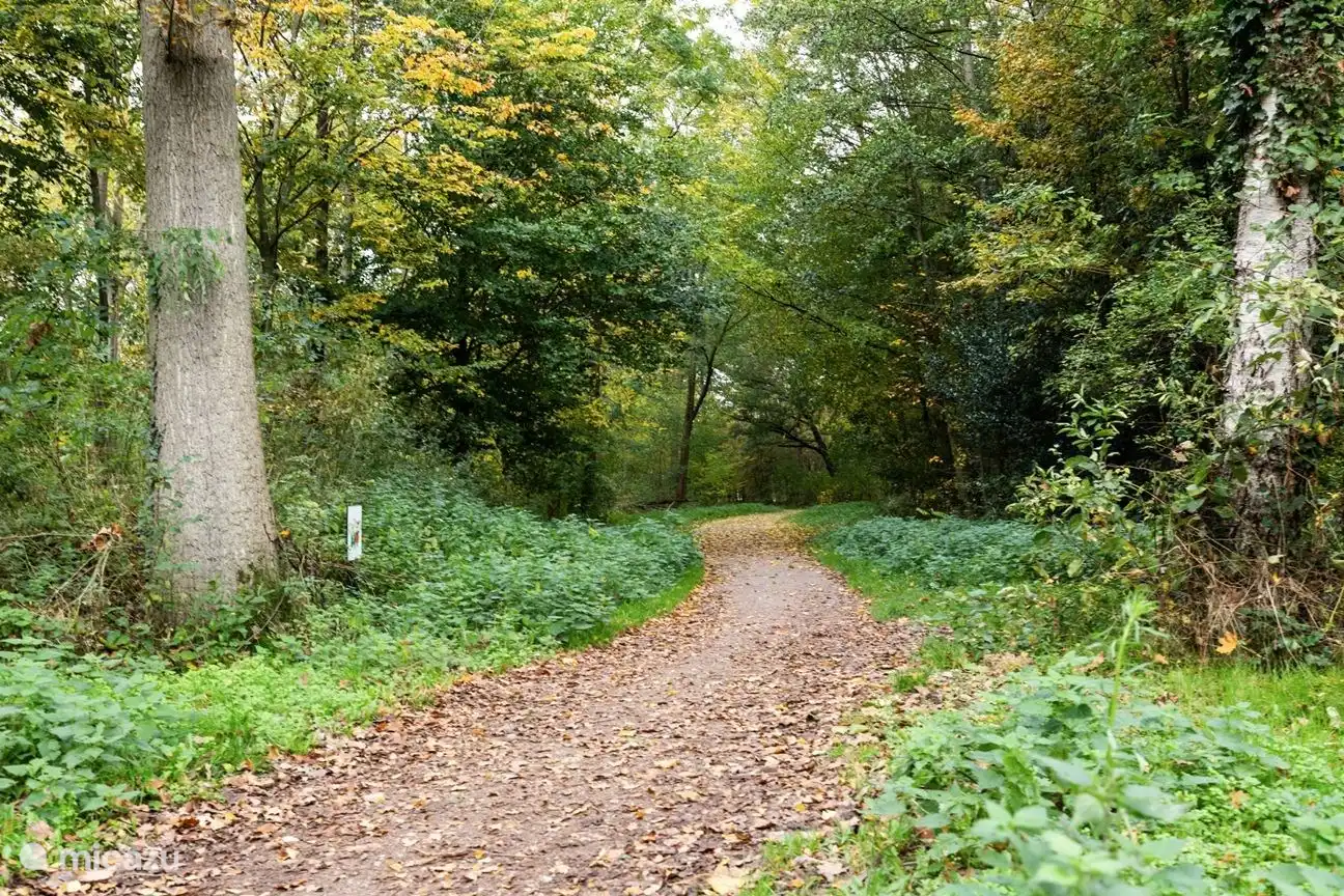 Wanderweg rund um Hilgelo