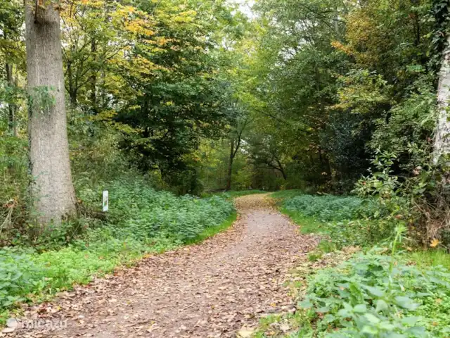 'Ons plekkie' bij het Hilgelo meer huren in Nederland, Gelderland, Winterswijk - vakantiehuis Wandelpad rondom Hilgelo