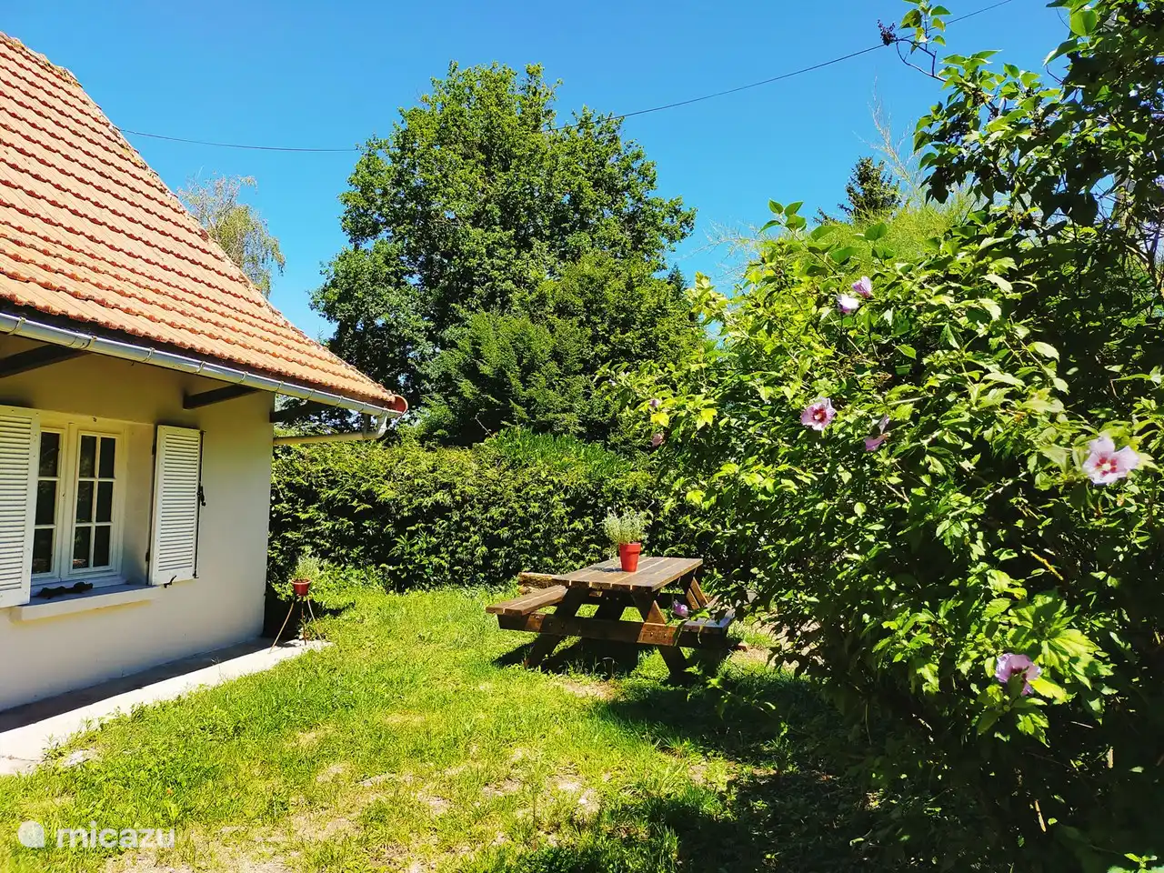 Mit den verschiedenen Sitzgelegenheiten im Garten findet sich immer ein sonniges oder schattiges Plätzchen zur Auswahl.