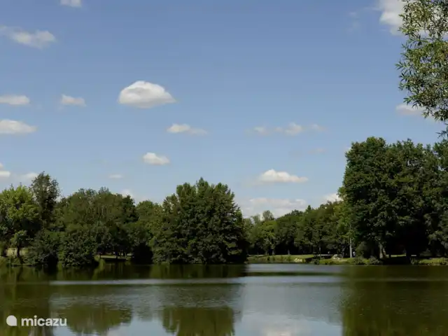 gîte / cottage huren in Frankrijk, Saône-et-Loire, Saint-Vincent-en-Bresse – Gîte Bourgogne Op 5 minuten loopafstand ligt het park Les Liaurats waar je kunt vissen, picknicken of een wandeling maken.