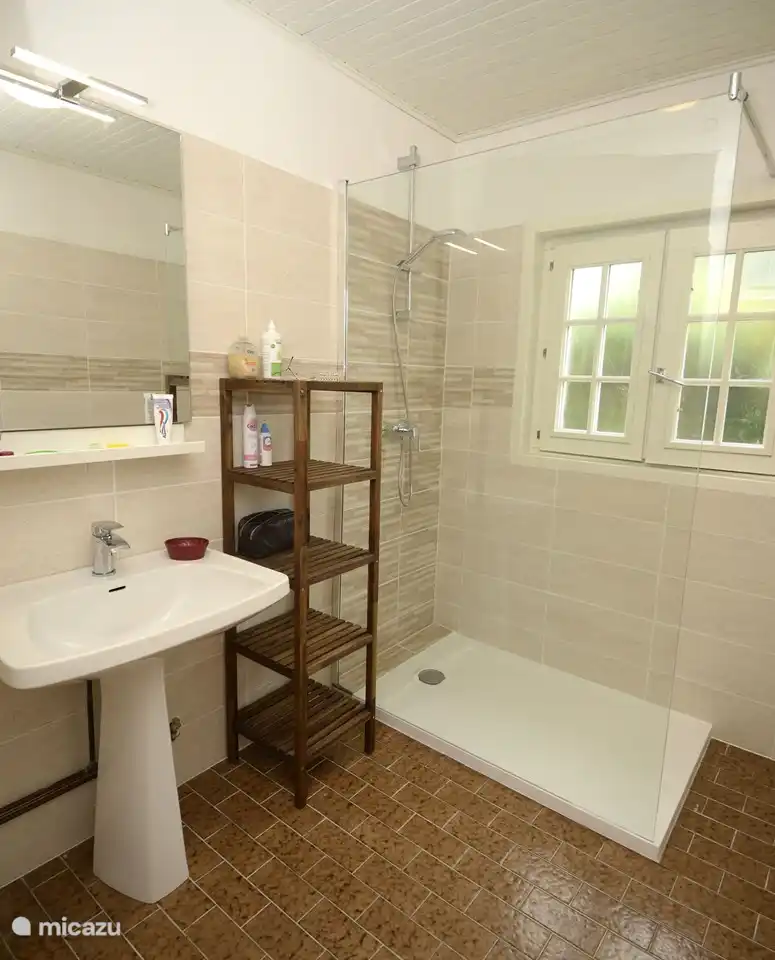 Die begehbare Dusche und Waschbecken im Badezimmer.