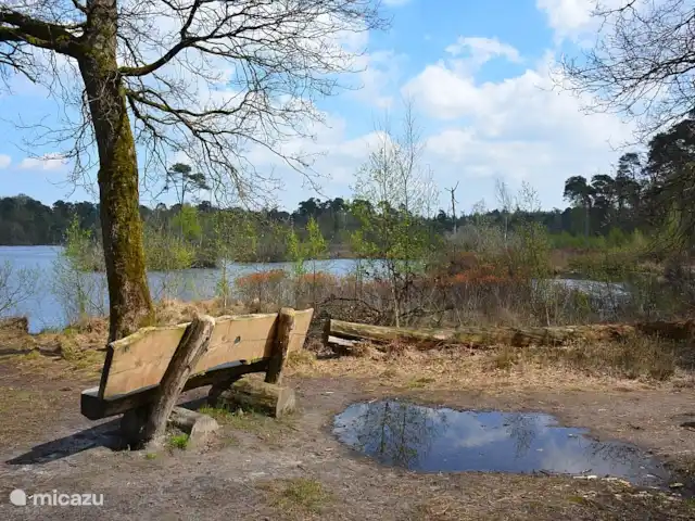 Maison de la nature Oisterwijk | Pays-Bas, Brabant-Septentrional, Oisterwijk - chalet Maison de la nature Oisterwijk | Pays-Bas, Brabant-Septentrional, Oisterwijk - chalet