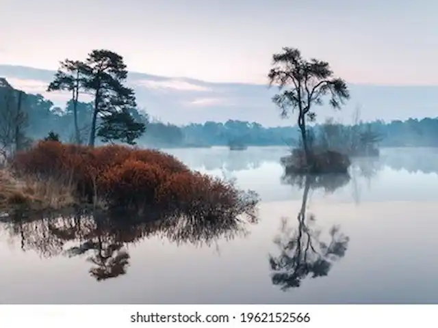 Maison de la nature Oisterwijk | Pays-Bas, Brabant-Septentrional, Oisterwijk - chalet Oisterwijkse Bossen et Vennen
(photo au chalet à 1km)