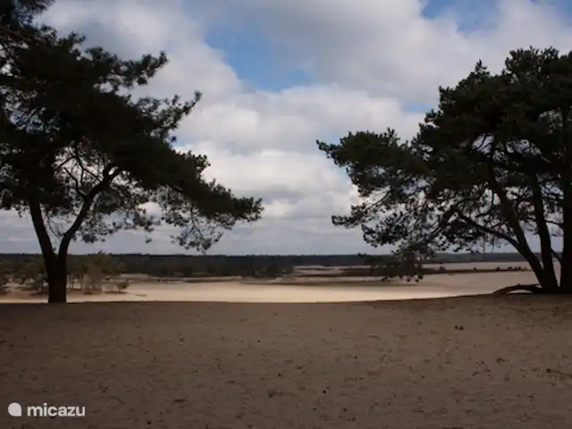 Maison de la nature Oisterwijk | Pays-Bas, Brabant-Septentrional, Oisterwijk - chalet À proximité des dunes de Loonse et de Drunense