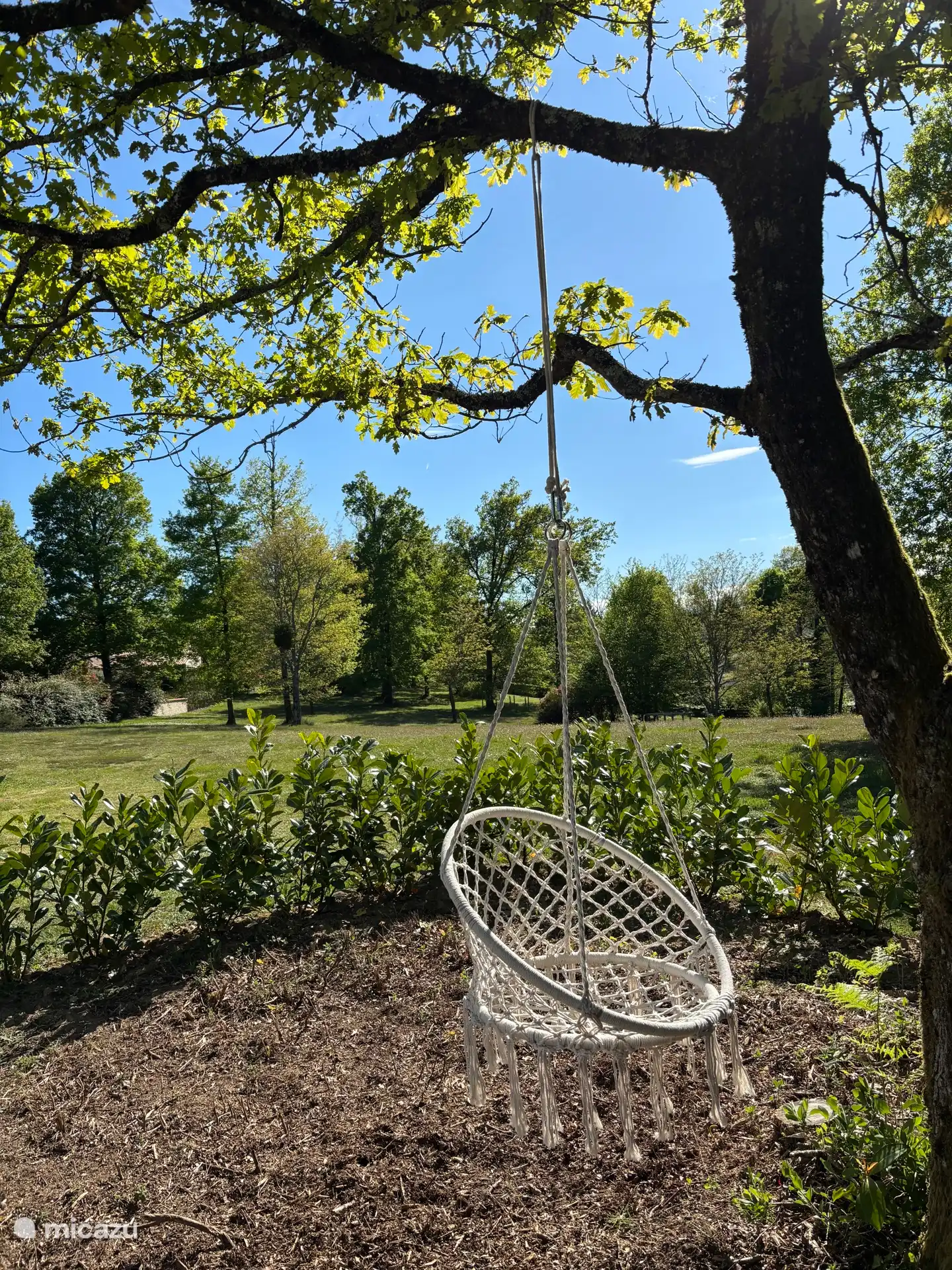 Dream away in the hanging chair and enjoy a magnificent view