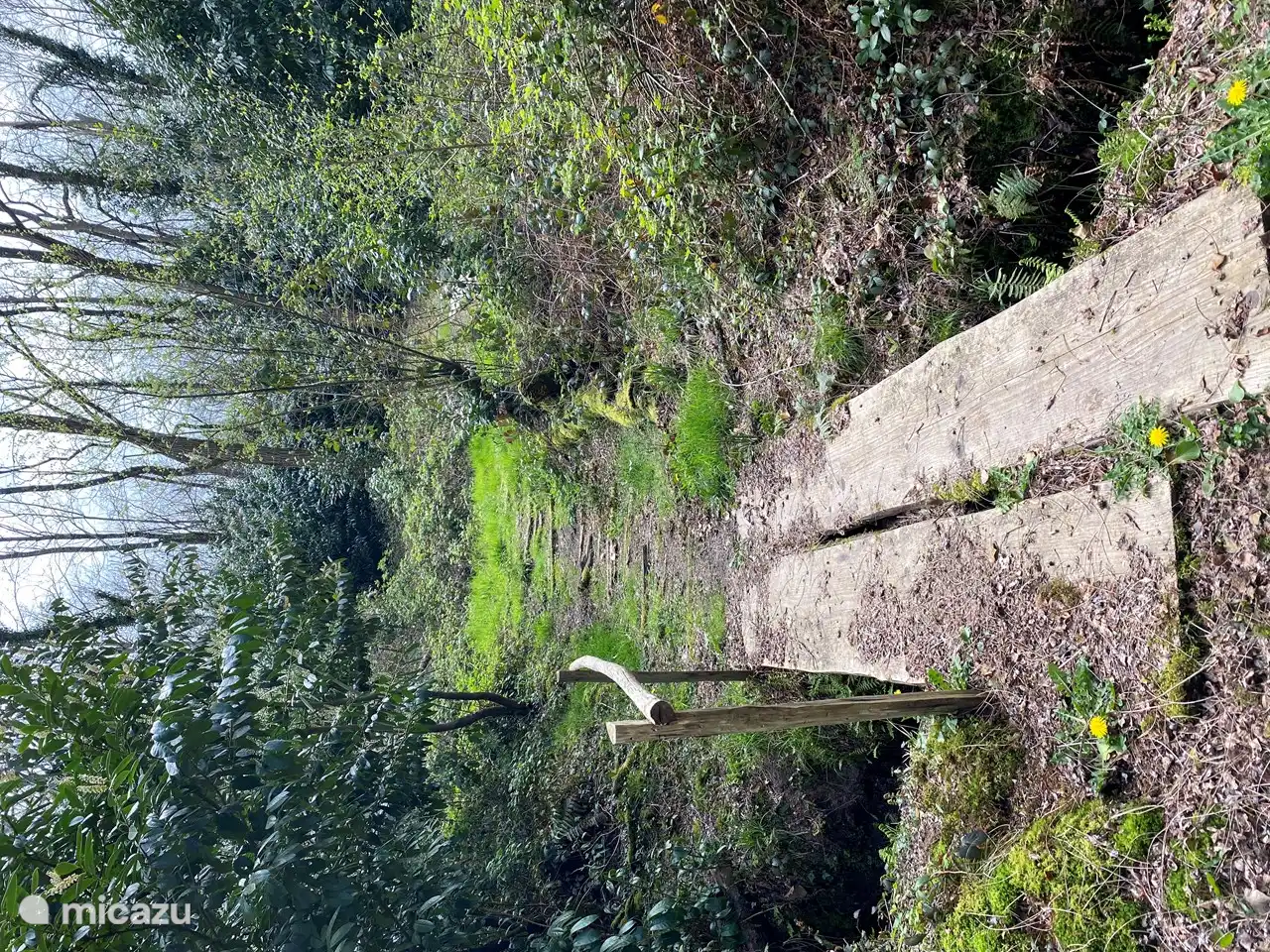 Rue d'aventure in the park