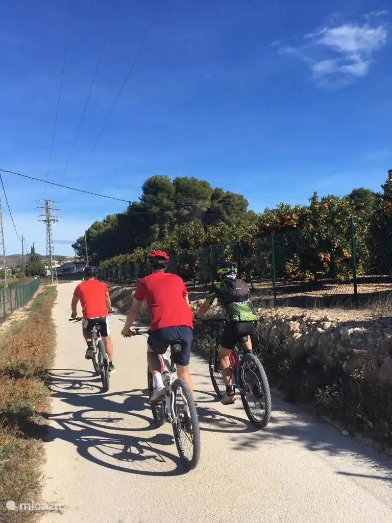 Calpe is een gekende fietsomgeving, zowel voor MTB als koersfiets. Professioneel fietsverhuur beschikbaar in centrum Calpe.