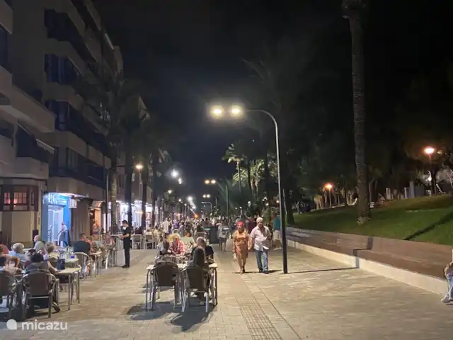 Playa Casa Marani en España, Costa Blanca, Guardamar del Segura - apartamento El paseo de la ciudad de Guardamar del Segura