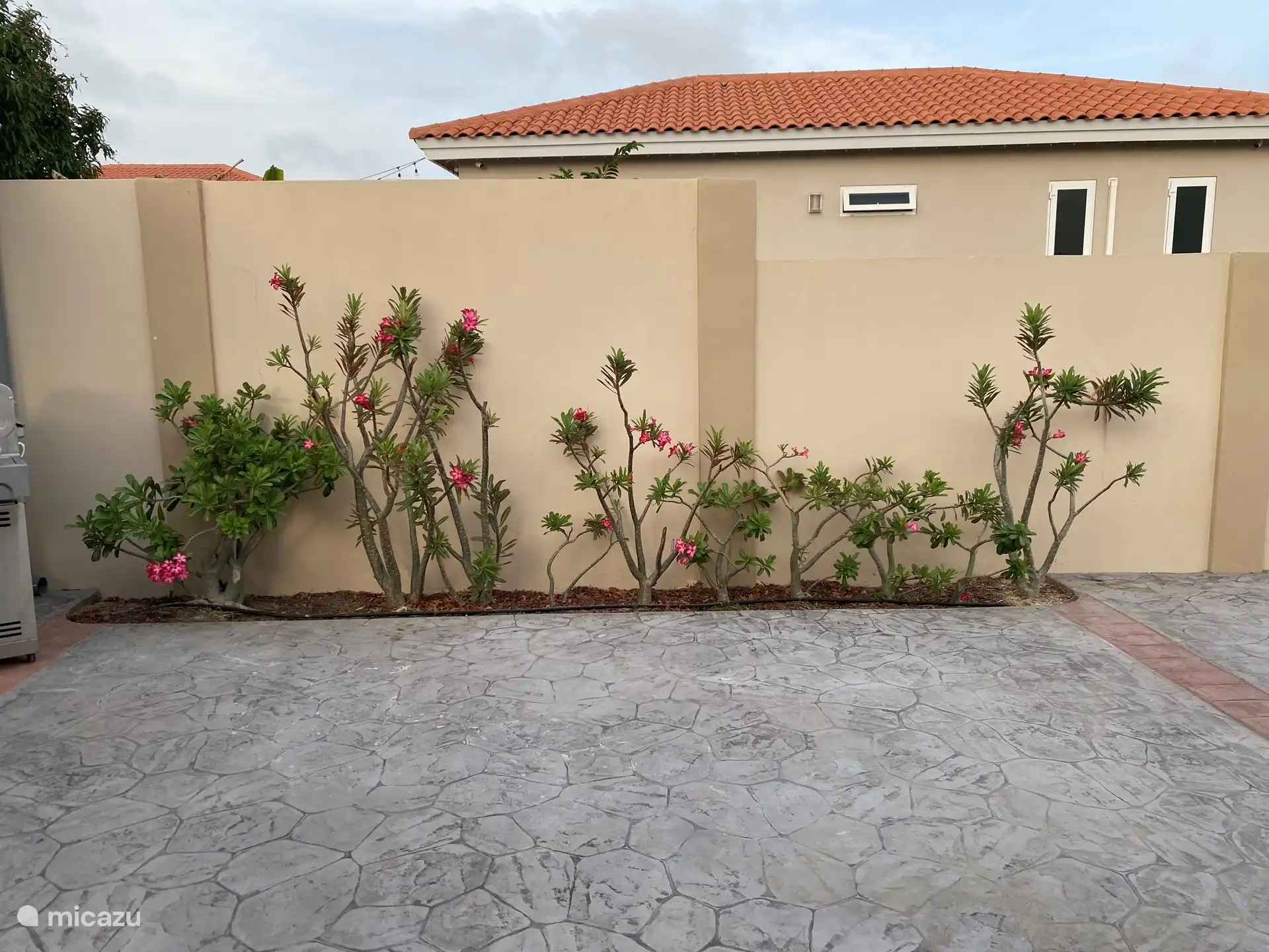 Vue depuis la terrasse couverte de la maison en face de Cazebo.