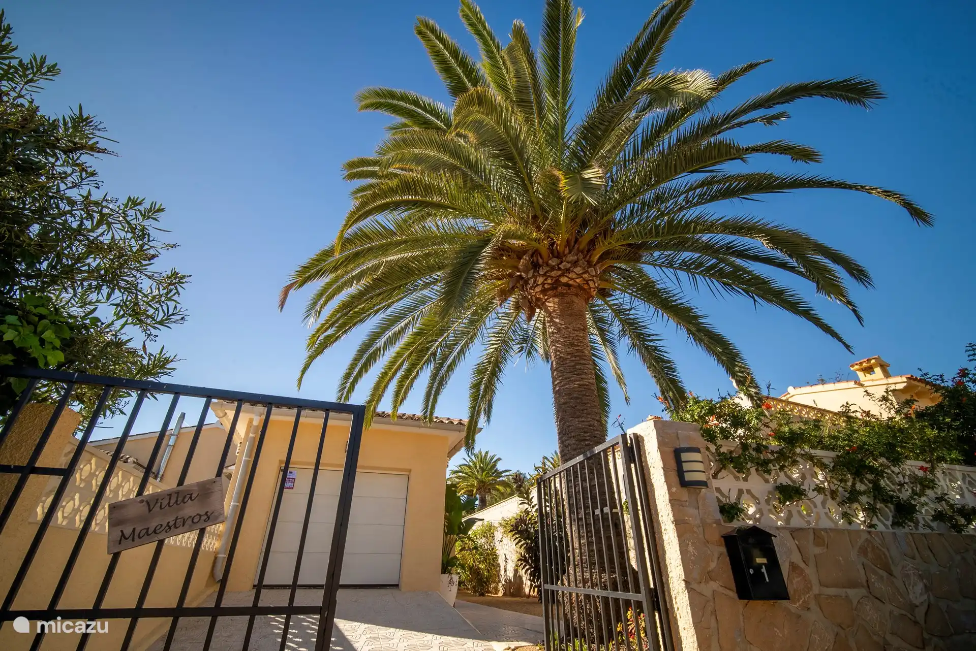 Juste à l’entrée, ambiances méditerranéennes avec un grand palmier 