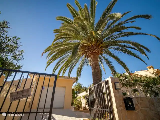 Villa Maîtres | Espagne, Costa Blanca, Alfáz del Pi - villa Juste à l’entrée, ambiances méditerranéennes avec un grand palmier