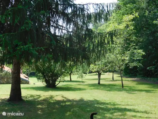 gîte / cottage huren in Frankrijk, Lot, Prayssac – Gite Font Cuberte Een groot grasveld met voldoende schaduwplekken.