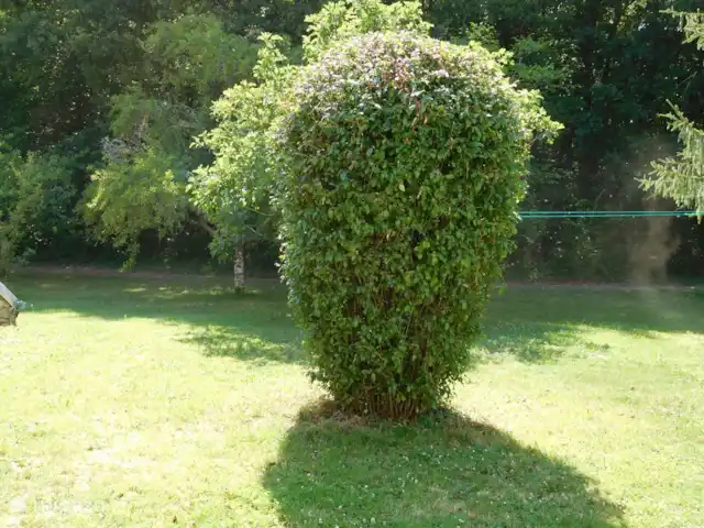 gîte / cottage huren in Frankrijk, Lot, Prayssac – Gite Font Cuberte Een heel vrij en ruim uitzicht.