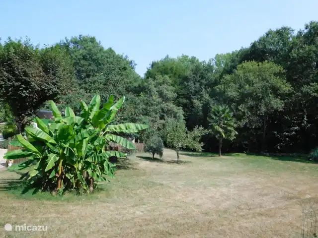 gîte / cottage huren in Frankrijk, Lot, Prayssac – Gite Font Cuberte Fijn grasveld