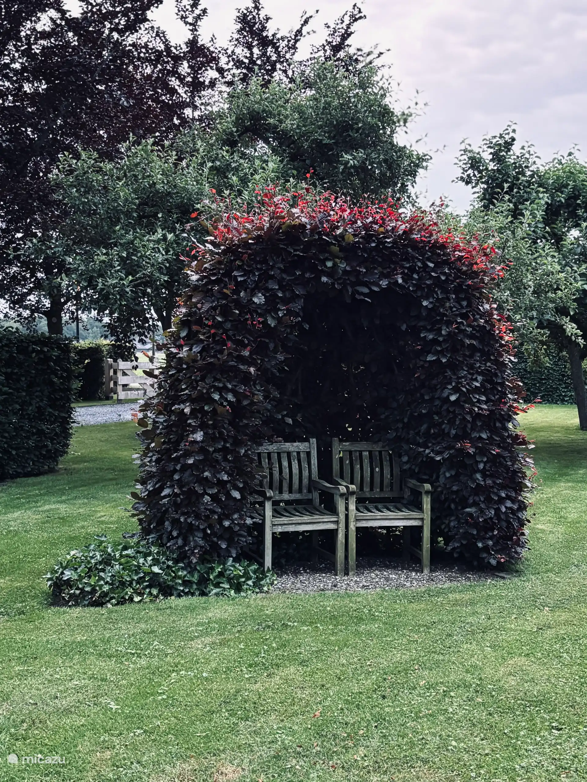 Tuin