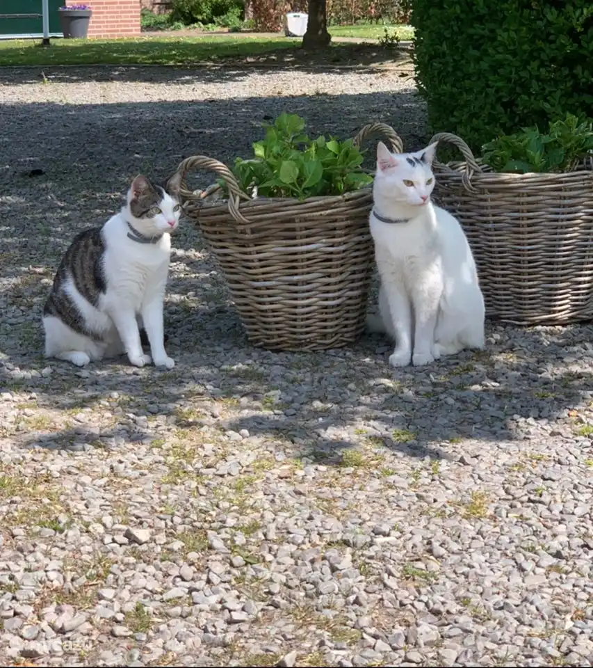 Kobus und Frau Jansen
