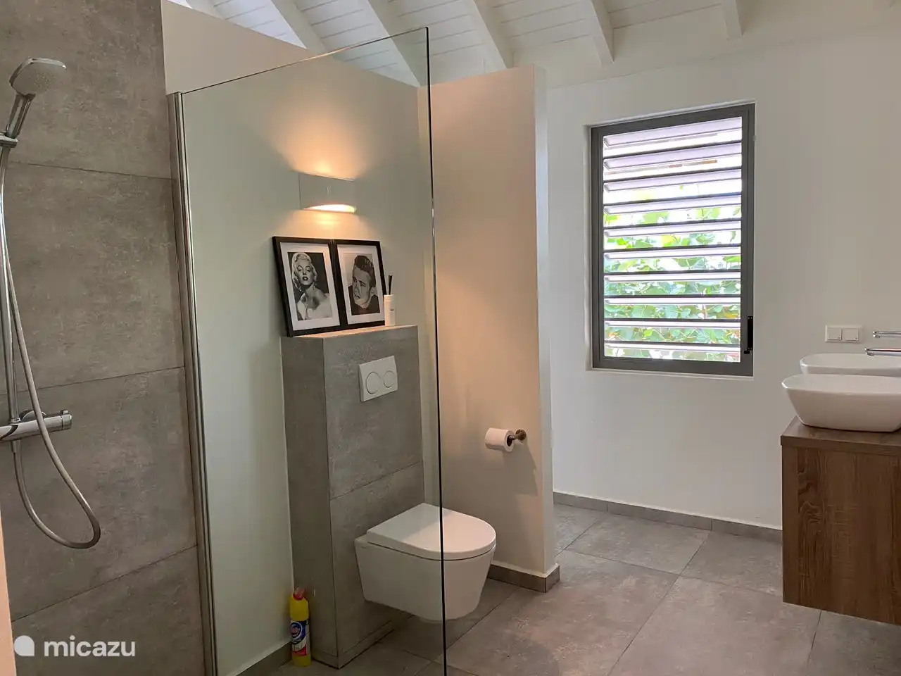 WC et douche appartenant à la chambre 1