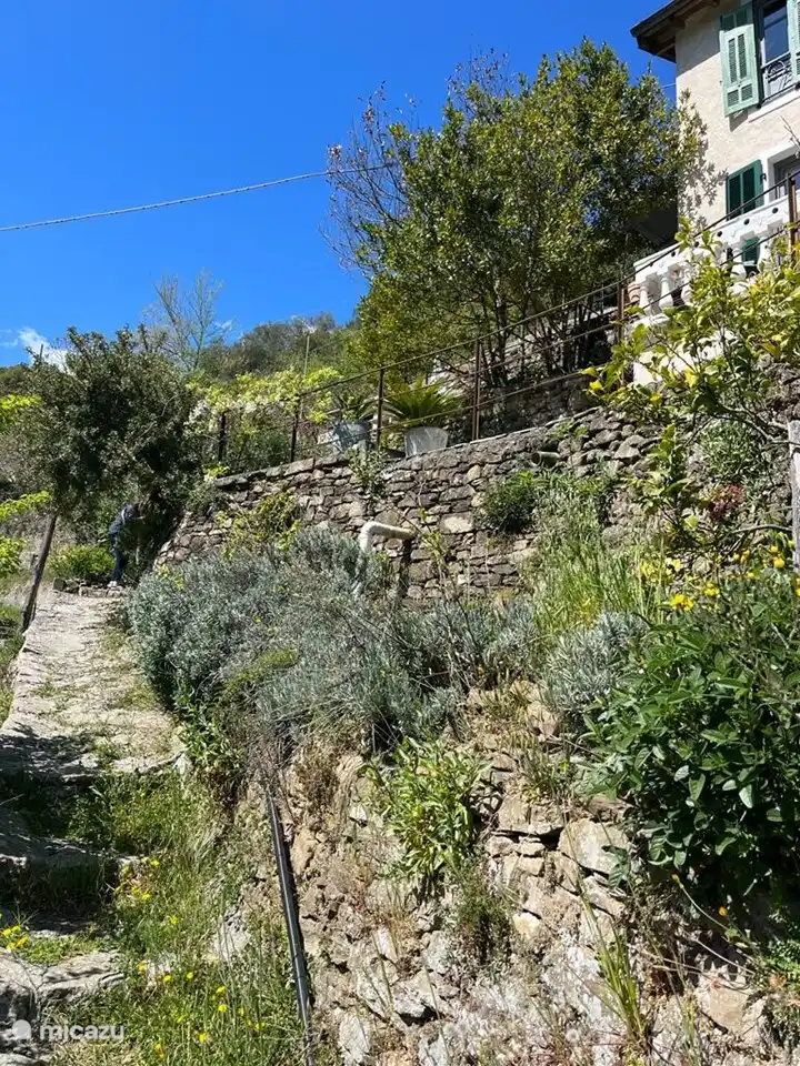 Blick auf die Terrassen von unten