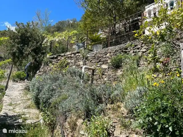 Casa Sorelle del vino huren in Italië, Ligurië, Apricale - finca Uitzicht op terrassen vanaf beneden