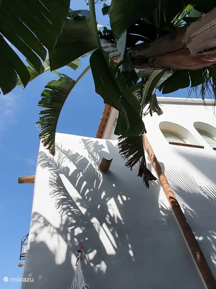 Rückseite des Hauses, von der Hängematte aus gesehen. Schöner Platz im Schatten.
