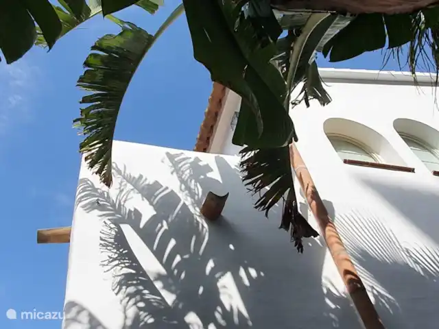 Villa Can Tulipán en España, Barcelona, Olivella - villa Parte trasera de la casa, vista desde la hamaca. Bonito lugar a la sombra.