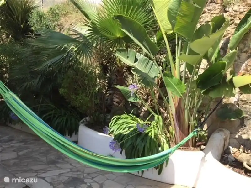 Möglichkeit zum Aufhängen von 2 Hängematten.