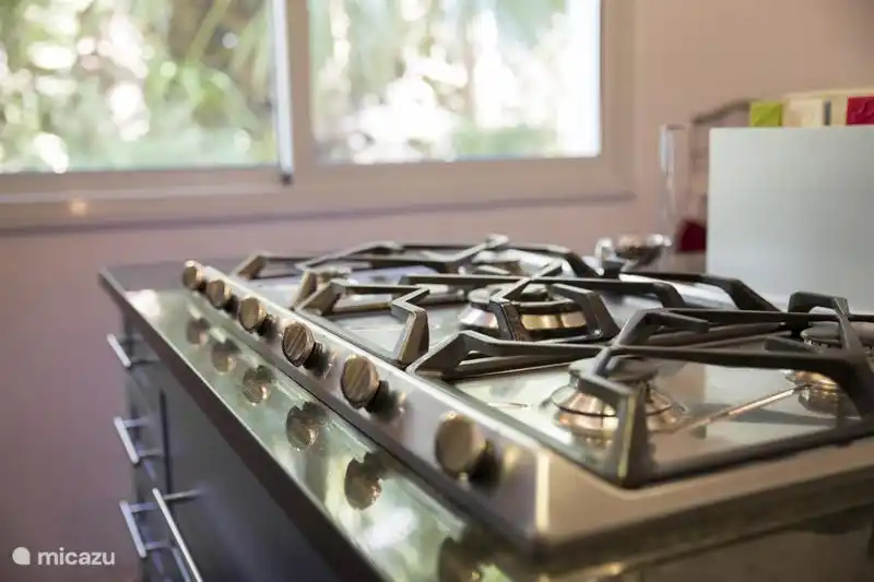 Küche. 5-Flammen-Gasherd. Wok-Brenner.