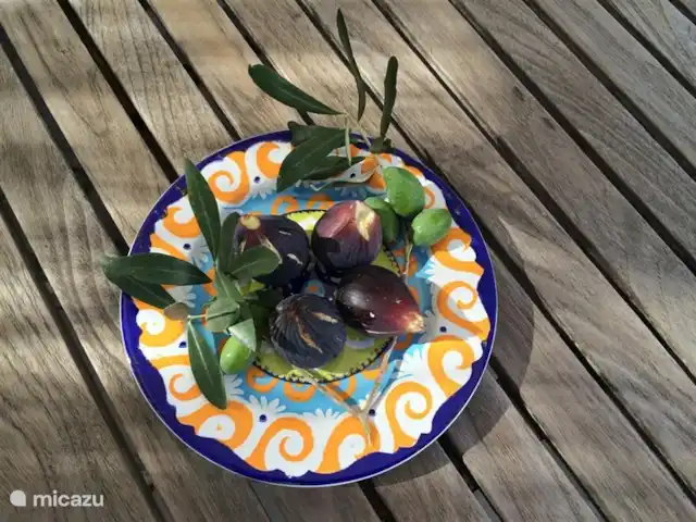 Villa Can Tulipán en España, Barcelona, Olivella - villa Cosecha del jardín.