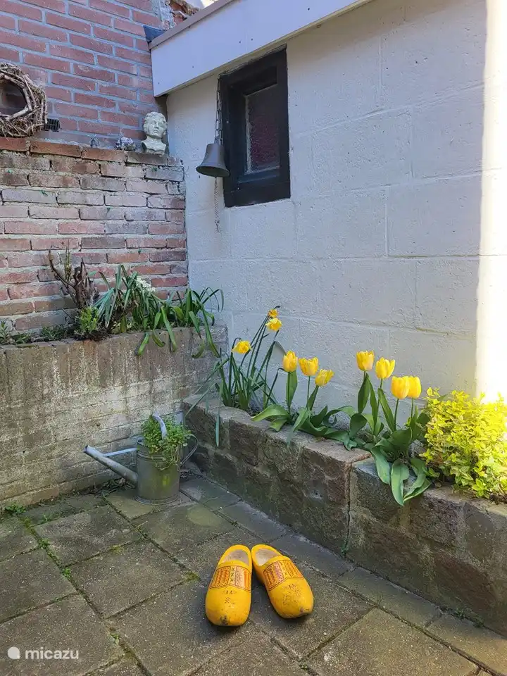 Detail Gartenhaus Vogelenzang Zeeland