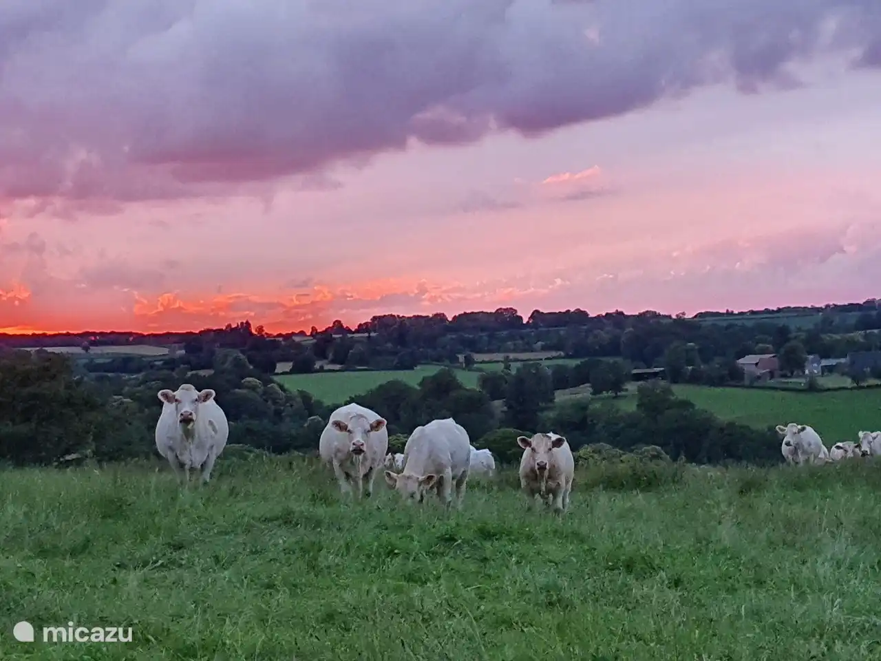 Der Abend bricht über Crozon herein (Blick auf den Hinterhof).