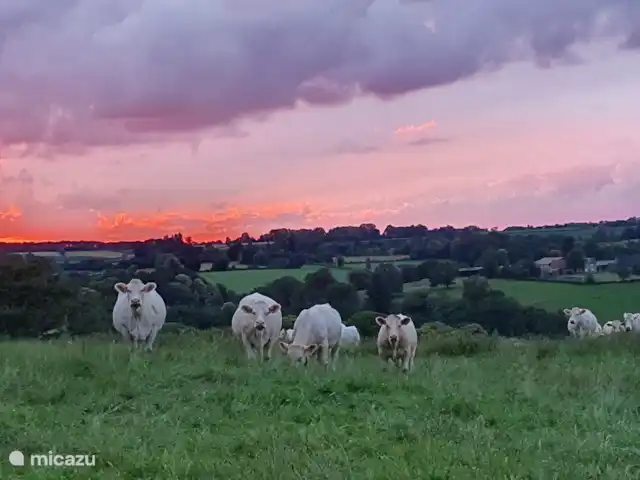La Bachasse, Rimorón en Francia, Indre, Crozon-sur-Vauvre - casa rural / cabaña La tarde cae sobre Crozon (vista del patio trasero).