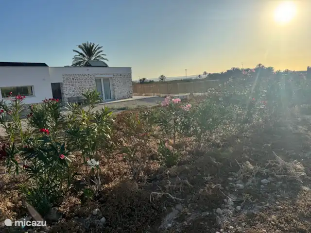 Location de Vacances Espagne, Costa Blanca, La Marina, finca - Casa nature à 5 min en voiture de la plage Jardin