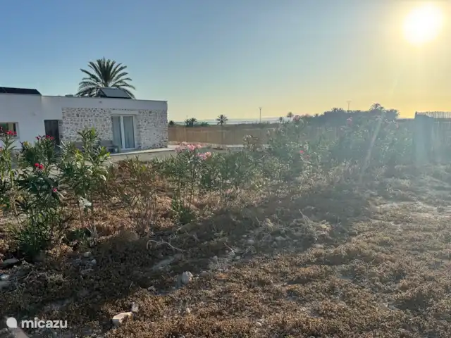 Location de Vacances Espagne, Costa Blanca, La Marina, finca - Casa nature à 5 min en voiture de la plage Jardin