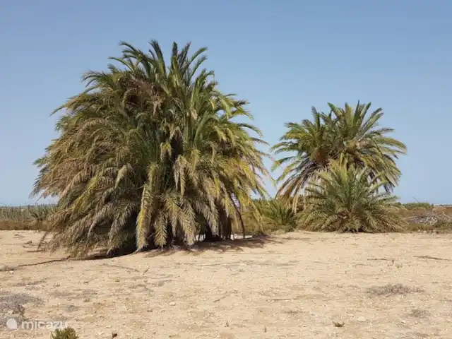 Location de Vacances Espagne, Costa Blanca, La Marina, finca - Casa nature à 5 min en voiture de la plage Voir le salon