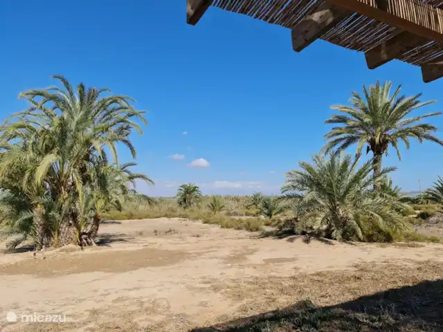 Location de Vacances Espagne, Costa Blanca, La Marina, finca - Casa nature à 5 min en voiture de la plage Vue terrasse