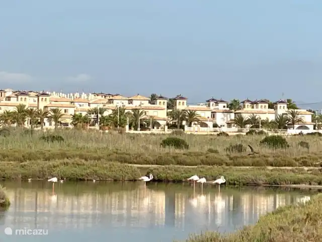Location de Vacances Espagne, Costa Blanca, La Marina, finca - Casa nature à 5 min en voiture de la plage Régionalité