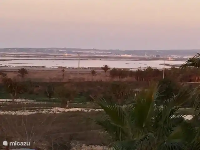 Location de Vacances Espagne, Costa Blanca, La Marina, finca - Casa nature à 5 min en voiture de la plage Région