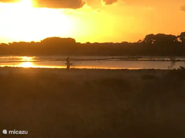 Location de Vacances Espagne, Costa Blanca, La Marina, finca - Casa nature à 5 min en voiture de la plage Région