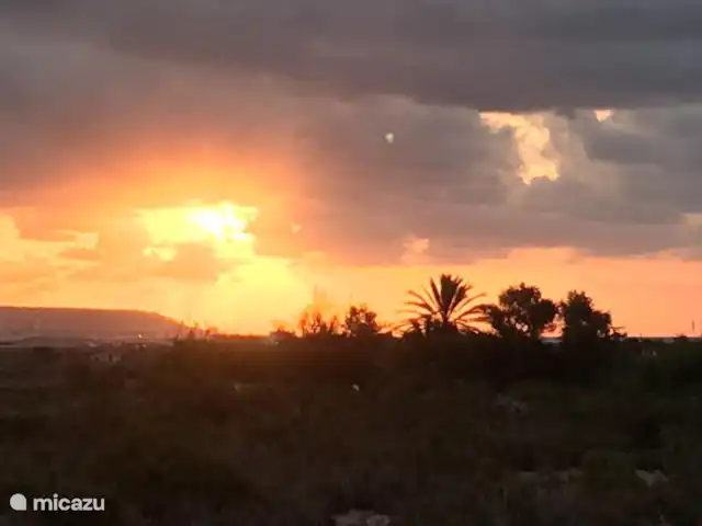 Location de Vacances Espagne, Costa Blanca, La Marina, finca - Casa nature à 5 min en voiture de la plage Région